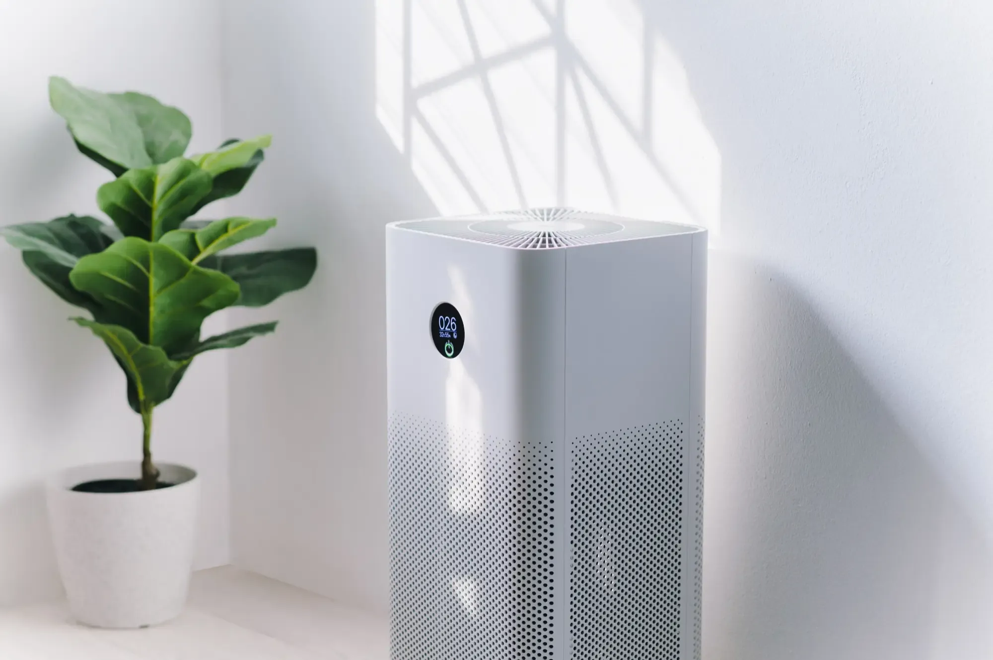 Indoor Air Quality Services